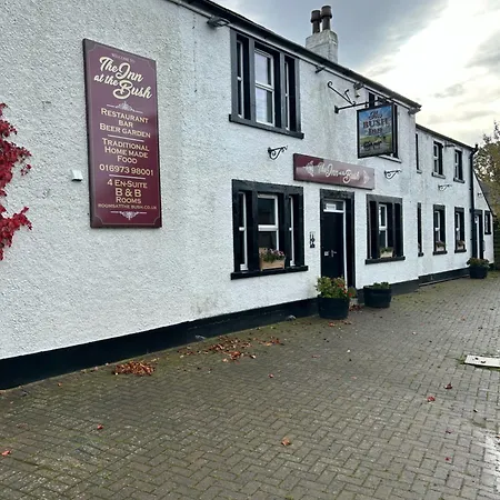 At The Bush Inn *